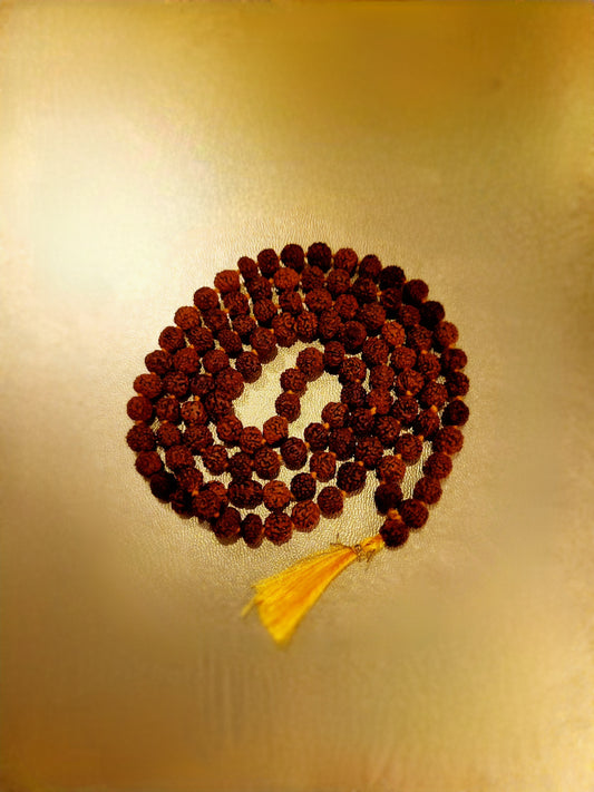 Pavitra Rudraksh Mala